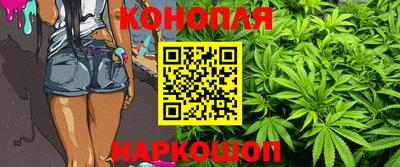 стафф Шелехов