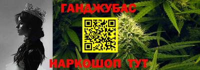 стафф Шелехов