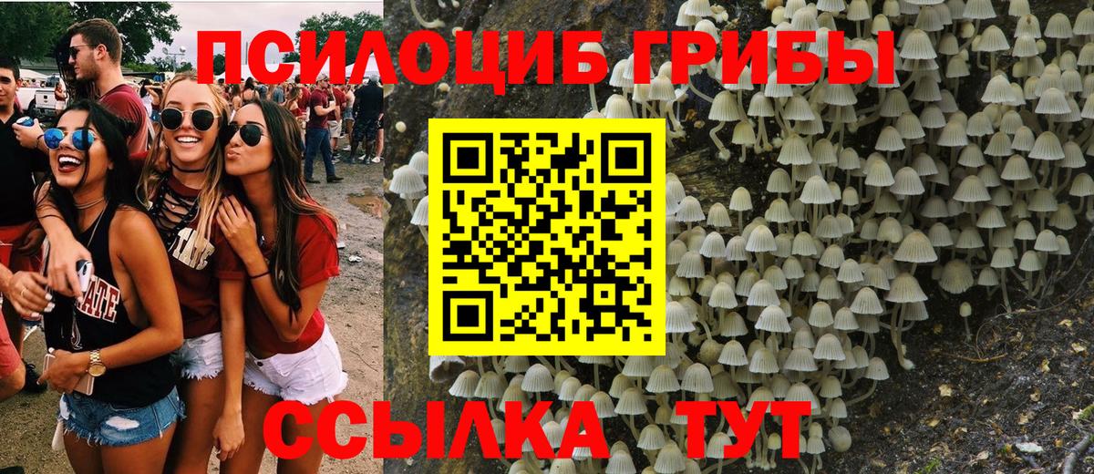 Псилоцибиновые грибы Psilocybine cubensis  Вход с VPN  Гурьевск 